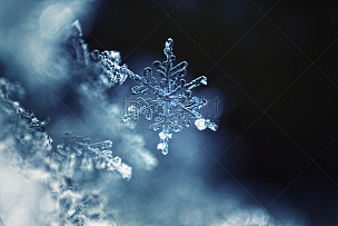 雪花,大特写,水,气候,雪,图像,冰晶,白色,十二月,冬天