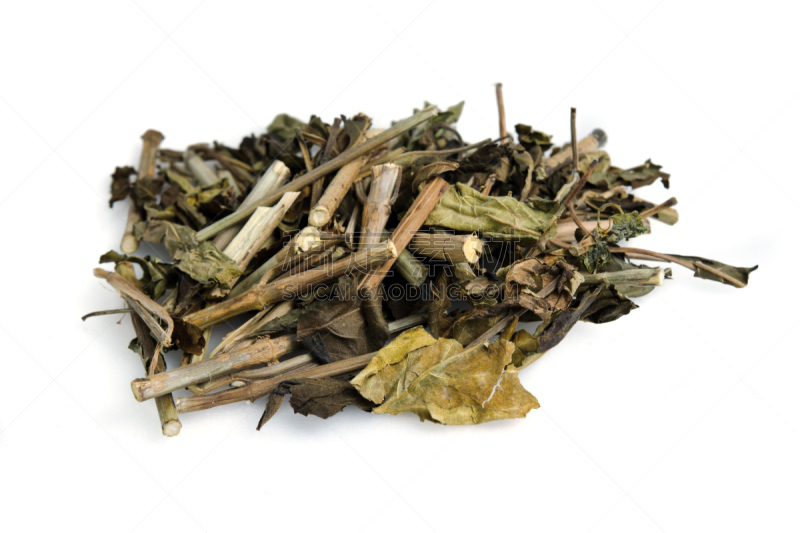 干的,脆弱,白色,茉莉,天堂鸟花,蛇,自然,水平画幅,无人,丁字裤