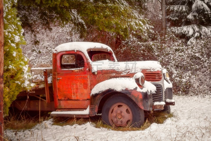 雪,皮卡车,生锈的,道奇卡车,水平画幅,冬天,无人,户外,田园风光,复古