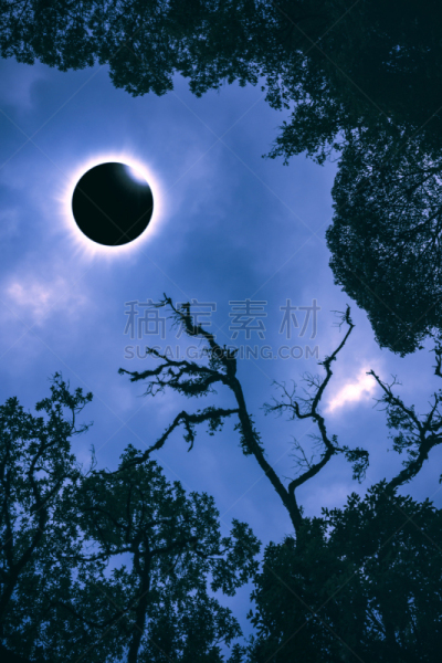科学,自然现象,钻石戒指,日食,垂直画幅,天空,美,天体物理学,无人,日月食