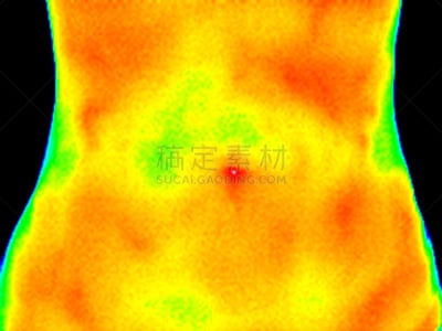 腹部,躯干,温度计,温度,水平画幅,红外摄影,科学,图像,特写,哺乳纲