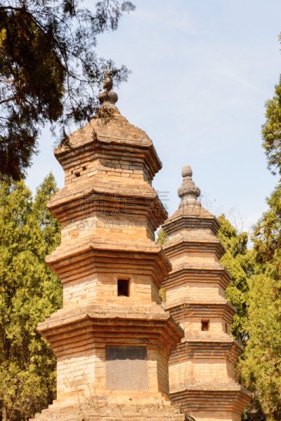 少林,森林,宝塔,寺庙,少林寺,世界遗产,垂直画幅,古董,武术