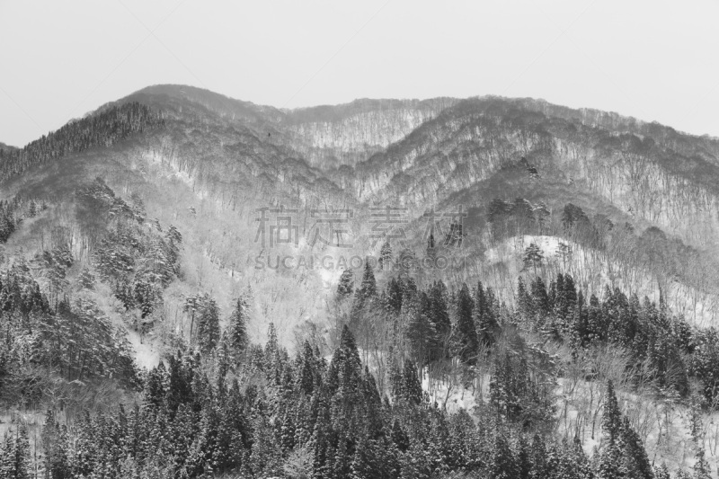 雪,冬天,乡村,白川乡,大井町,反曲刀,合掌屋,岐阜县,天空,水平画幅