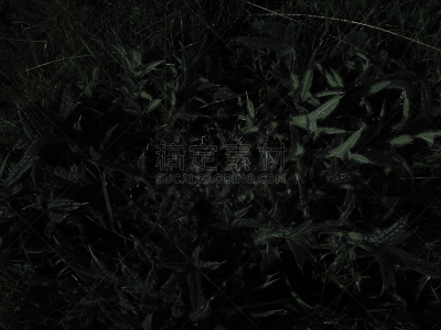 2002,平衡折角灯,易北河,树园,石勒苏益格-荷尔斯泰因,水平画幅,沙子,秋天,无人,马槽浩兹.特洛弗