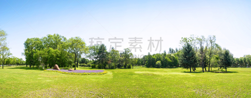 早晨,春天,日光,爱达荷公园岛,哈尔滨,广场,宽的,草坪,庭院