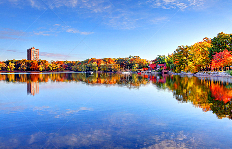 灌木,秋天,池塘,波士顿,牙买加,水平画幅,枝繁叶茂,无人,户外,四季