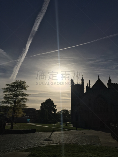 早晨,五月,2018,绿色,垂直画幅,天空,小无花果树,云,地形