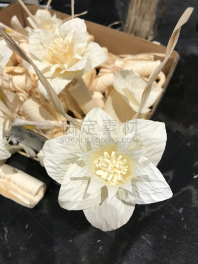 志愿者,车间,葬礼,木制,垂直画幅,人造的,悲痛,纯净,决心,泰国