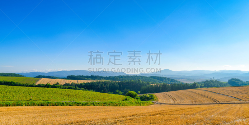 公园,夏天,天文台,风景,北海道,天空,美,水平画幅,云,山