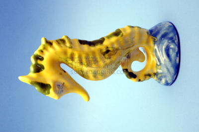 海马,海龙,垂直画幅,水,糖衣蛋糕,蓝色,手艺,海产,海洋生命,模塑