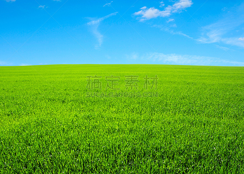 田地,天空,草地,水平画幅,绿色,地形,无人,蓝色,草坪,户外