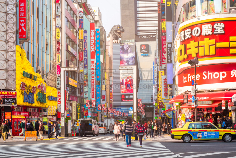 新宿区,东京,日本,城市,互联网,病房,横截面,城市生活