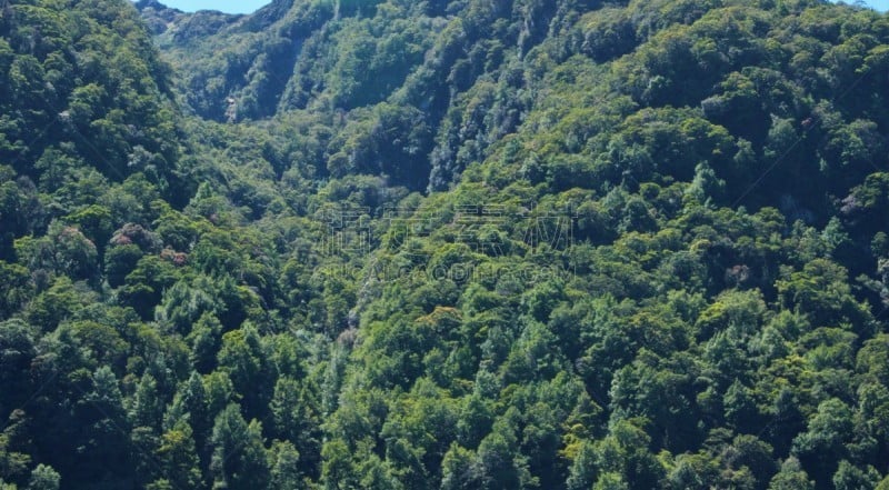 风景,山,日光,森林,milford track,白昼,世界遗产,逃避现实,户外,自然