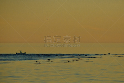下加利福尼亚州,考特斯海,鲸鲨,南加里福尼亚,水平画幅,无人,月亮,墨西哥,拉丁美洲,日落