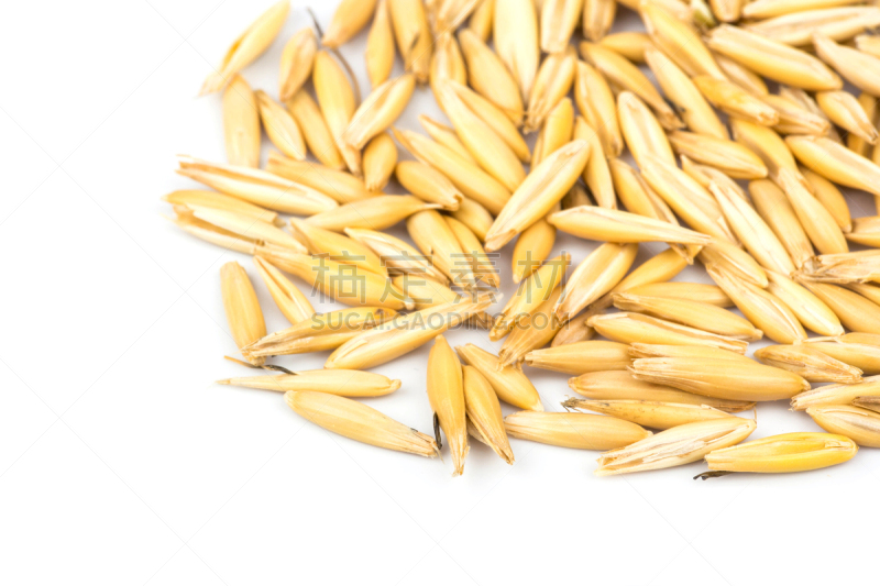 燕麦,水平画幅,素食,无人,干花,生食,组物体,干的,草,特写