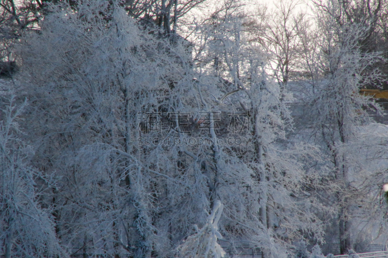 白色,全部,自然,水,水平画幅,地形,雪,无人,抽象,冰