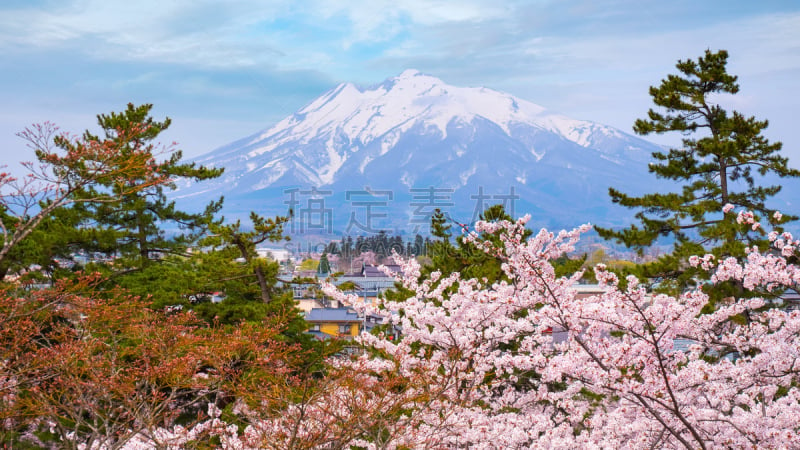 樱桃树,弘前公园,山,磐城,樱之花,池塘,福岛县,春天,3到4个月,湖