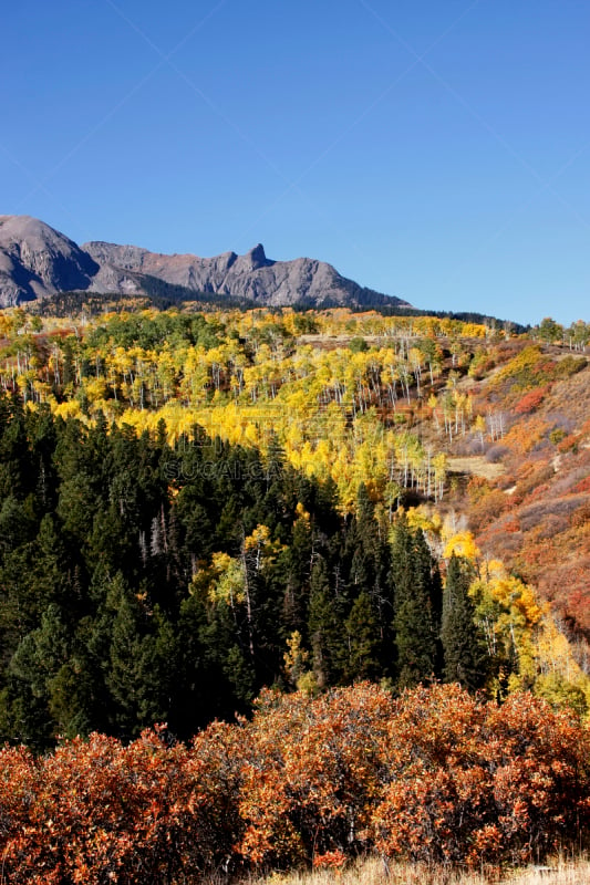 uncompahgre national forest,科罗拉多州,达拉斯市,海登山,斯奈佛尔斯山脉,奥瑞县,白杨类,布希曼族,垂直画幅,天空