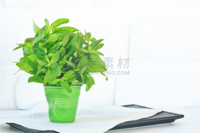 绿色,玻璃杯,薄荷,盲人手杖,左撇子,亮色调,留白,芳香的,水平画幅,素食