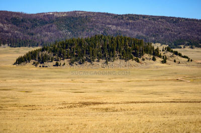 jemez mountains,火山喷口,自然,公园,美国,水平画幅,地形,无人,火山地形,户外