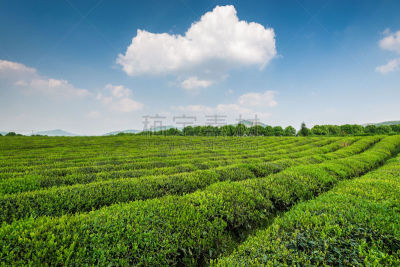 中国,日本茶道公园,山式瑜珈姿势,农业合作社,手工艺设备,天空,水平画幅,地形,无人,夏天