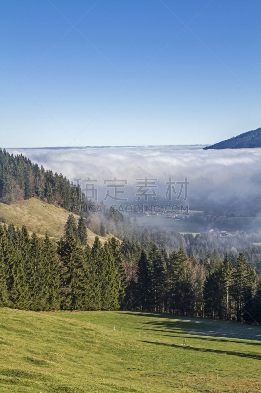 雾,逆温层,上巴伐利亚,垂直画幅,天空,草地,地形,山,秋天,无人