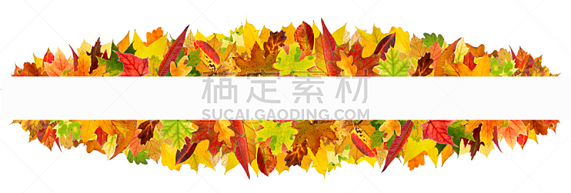 边框,叶子,秋天,留白,水平画幅,九月,绘画插图,计算机制图,计算机图形学,干的