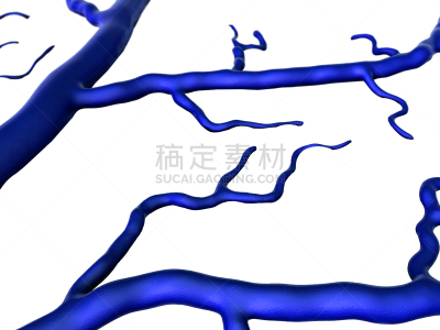 毛细血管,母球,绘画插图,计算机制图,计算机图形学,粒子,白色,技术