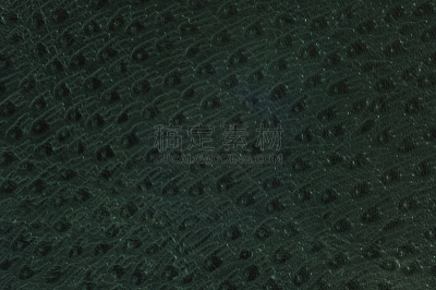 人造的,皮革,鸵鸟,背景,纹理,式样,动物皮,水平画幅,纺织品,牛皮