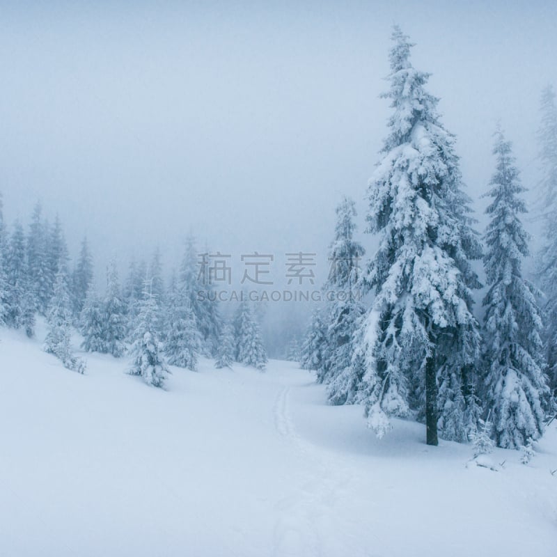 冬天,地形,霜,寒冷,风,环境,雨夹雪,雪,天气,公园