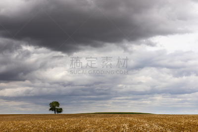 云,欧赛尔,寂寞,天空,水平画幅,夏天,户外,云景,农作物,克拉姆西