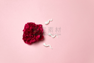 概念,大特写,人工授精,浅的,精子,成年的,儿童,卵巢,男性