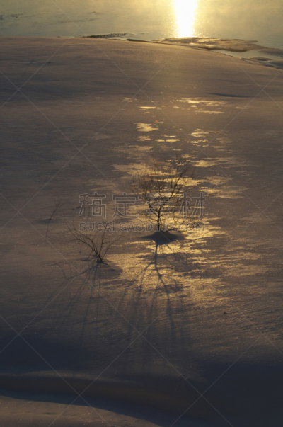 秋元湖,早晨,自然,垂直画幅,地形,冬天,雪,无人,户外,两极气候