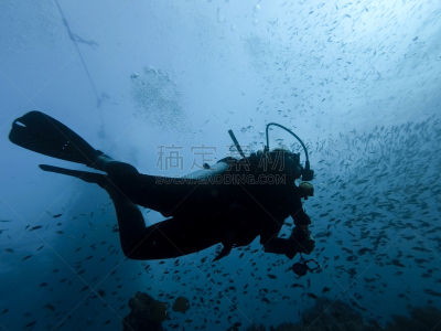 蓝塔岛,泰国,礁石,岛,水,美,水平画幅,水肺潜水,水下,光