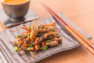昆虫,蛆,维生素a,镁,维生素b,食品,贫民窟,膳食,小吃,北京