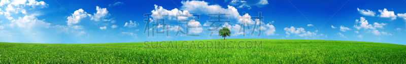 草地,全景,天空,水平画幅,无人,草坪,户外,草,云景,田地