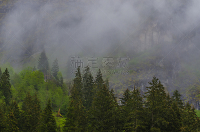 雾,美国山桂,山地自行车运动,山地车,飙摩托车者,水平画幅,雪,夏天,户外,运动员