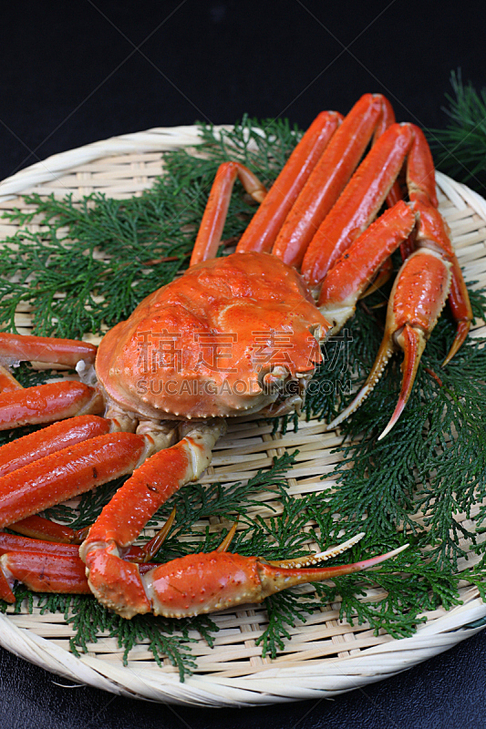阿拉斯加雪蟹,清新,垂直画幅,螃蟹,煮食,日本料理,无人,蜘蛛蟹,日本,海产