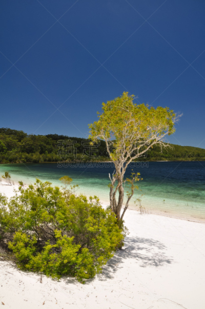 弗雷泽岛,湖,垂直画幅,天空,湖岸,沙子,无人,蓝色,户外,太阳