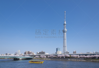 东京天空树,樱桃树,图像,river sumida,浅草,电磁的,观测点,无线电通信塔,天空,美