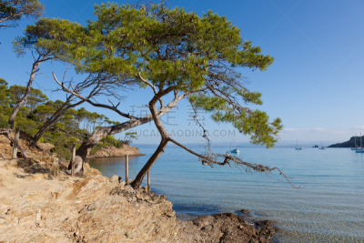 波克罗勒岛,法国,岛,蓝色的海湾,卡西斯,马赛,水,水平画幅,无人,夏天