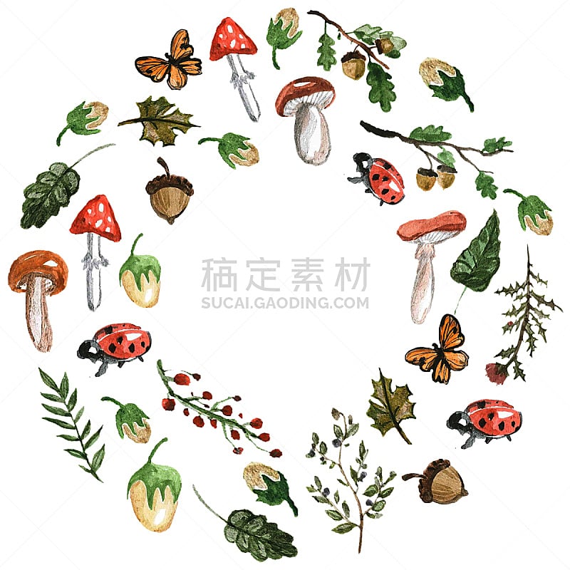 叶子,蘑菇,森林,植物群,边框,无人,符号,夏天,户外,橡树林地