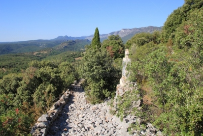 马赛圣母院,街道,十字形,悲哀之路,耶稣受难像,塞文山区,埃罗,受难记,松树,夏天