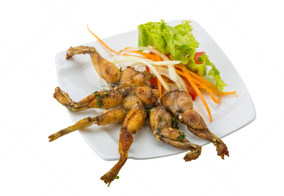 格子烤肉,青蛙,动物腿,餐具,水平画幅,可爱的,香料,熟食店,特写,高级西餐