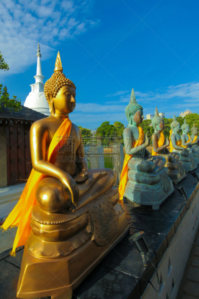 科伦坡,湖,斯里兰卡,寺庙,贝拉贝克撒,马六甲州,斯里兰卡人,垂直画幅,早晨,户外