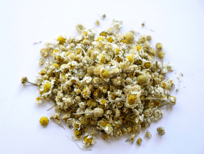 干的,甘菊,分离着色,白色背景,饮料,茶,健康保健,自然界的状态,药,洋甘菊茶