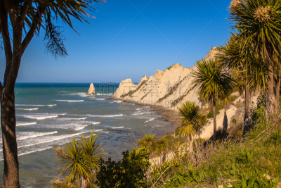 纳皮尔,新西兰,cape kidnappers gannet colony,哈弗洛克岛,hawkes bay region,黑斯廷斯,腊肠树,海岬,龙血树属植物,东