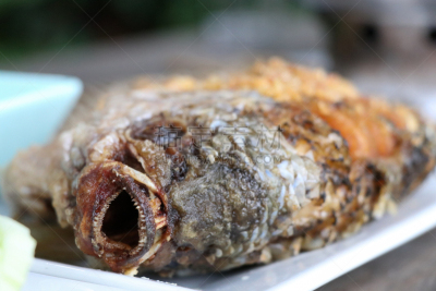 罗非鱼,鱼类,菜单,鱼油,餐具,水平画幅,膳食,特写,泰国,餐桌