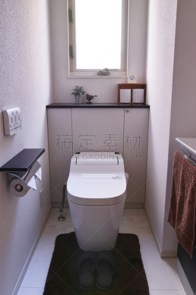 日本,卫生间,住宅内部,垂直画幅,住宅房间,浴室,冲洗水,无人,抽水马桶