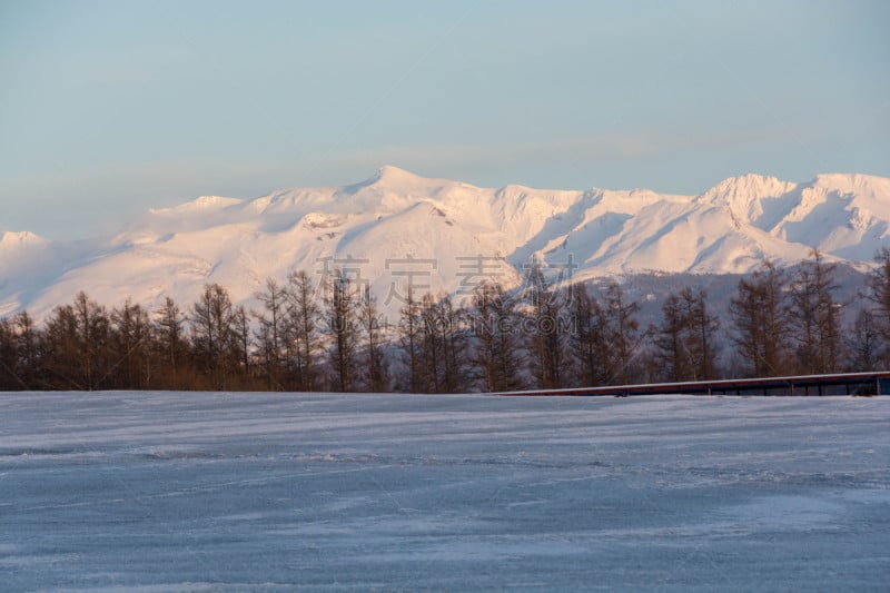 雪,贺卡,橙色,黄昏,日本落叶松,春天,深雪,背景,户外,天空